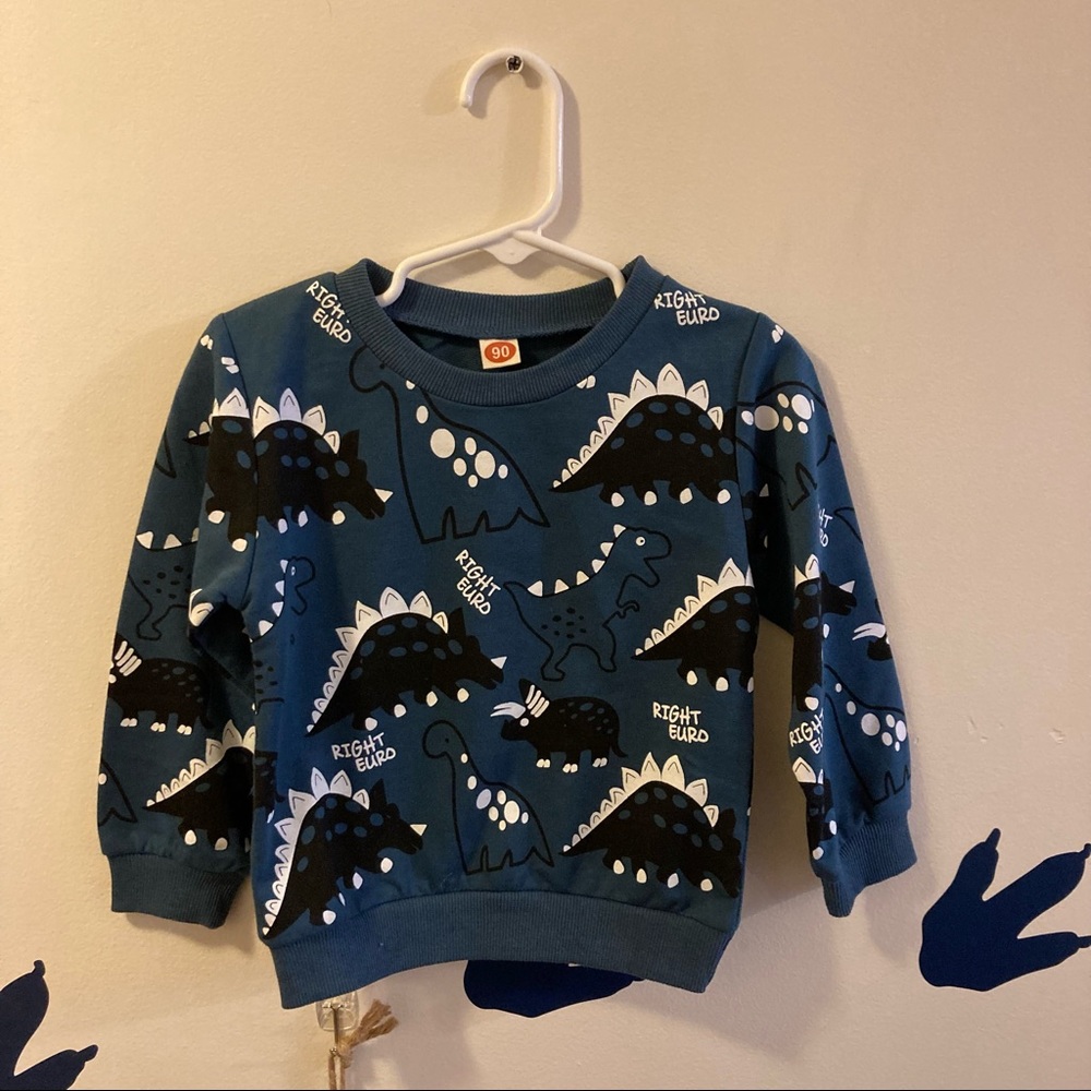 Toddler Boy Graphic Dinosaur Crewneck Size 24 Months